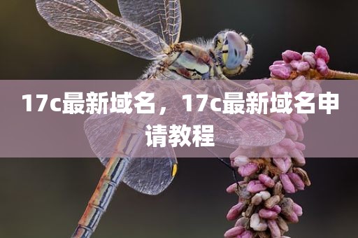 17c最新域名，17c最新域名申请教程