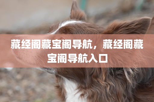 藏经阁藏宝阁导航，藏经阁藏宝阁导航入口