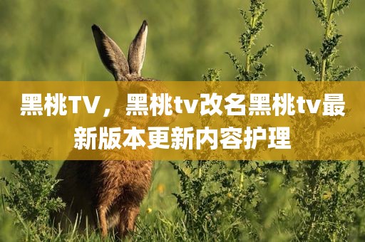 黑桃TV，黑桃tv改名黑桃tv最新版本更新内容护理