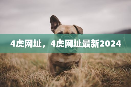 4虎网址，4虎网址最新2024