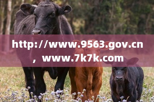 http://www.9563.gov.cn，www.7k7k.com