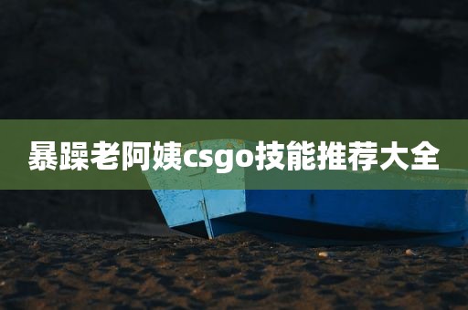暴躁老阿姨csgo技能推荐大全