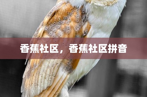 香蕉社区，香蕉社区拼音