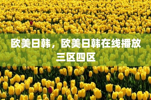 欧美日韩，欧美日韩在线播放三区四区