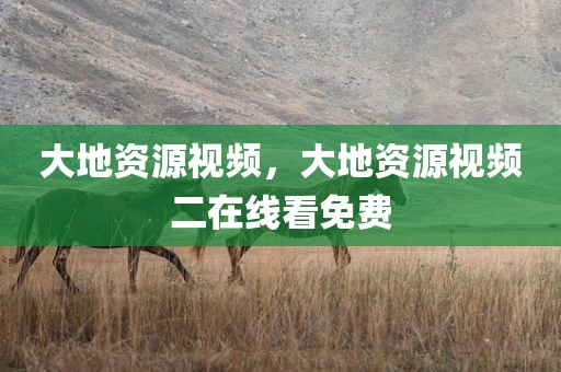 大地资源视频，大地资源视频二在线看免费