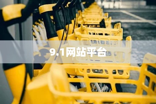 9.1网站平台