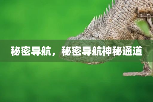秘密导航，秘密导航神秘通道