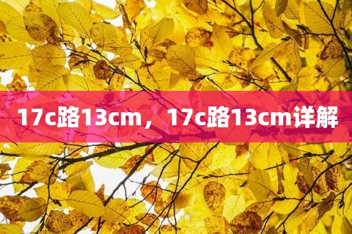 17c路13cm，17c路13cm详解
