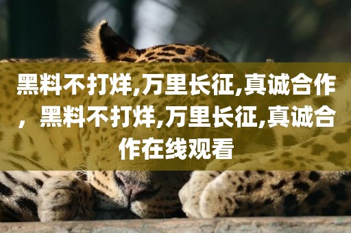 黑料不打烊,万里长征,真诚合作，黑料不打烊,万里长征,真诚合作在线观看
