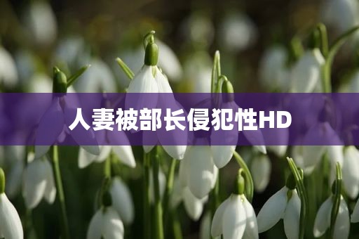 人妻被部长侵犯性HD