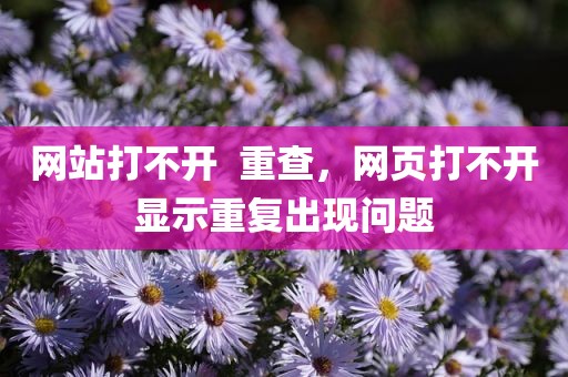 网站打不开  重查，网页打不开显示重复出现问题