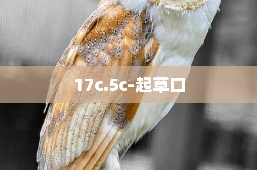 17c.5c-起草口