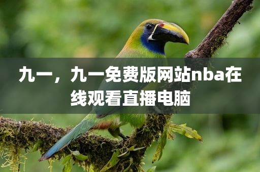 九一，九一免费版网站nba在线观看直播电脑