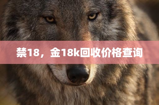 禁18，金18k回收价格查询