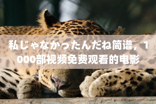 私じゃなかったんだね简谱，1000部视频免费观看的电影
