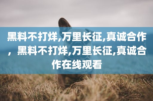 黑料不打烊,万里长征,真诚合作，黑料不打烊,万里长征,真诚合作在线观看