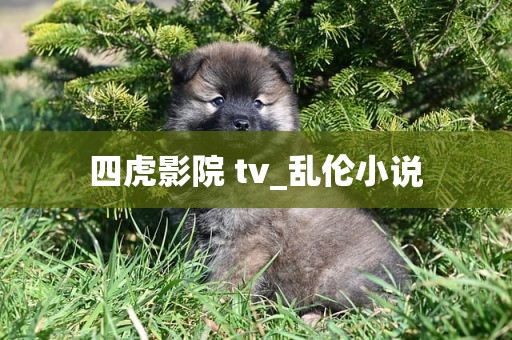 四虎影院 tv_乱伦小说