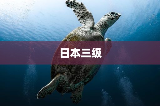 日本三级