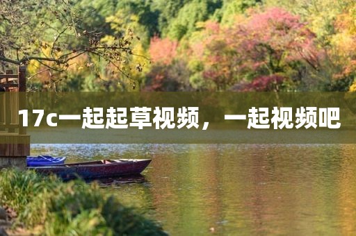 17c一起起草视频，一起视频吧