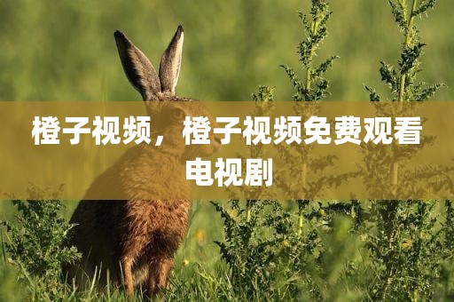 橙子视频，橙子视频免费观看电视剧