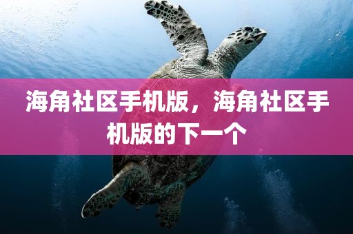 海角社区手机版，海角社区手机版的下一个