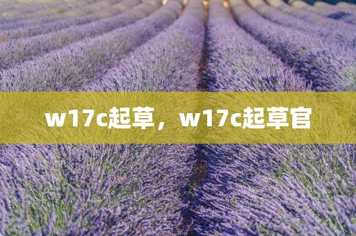 w17c起草，w17c起草官