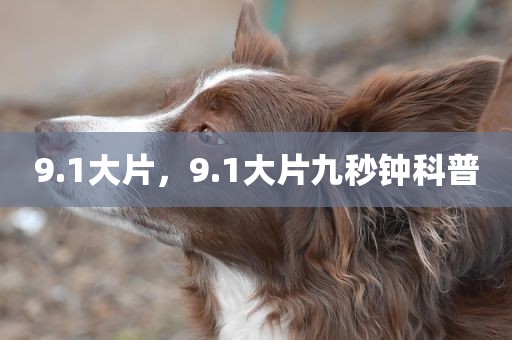 9.1大片，9.1大片九秒钟科普