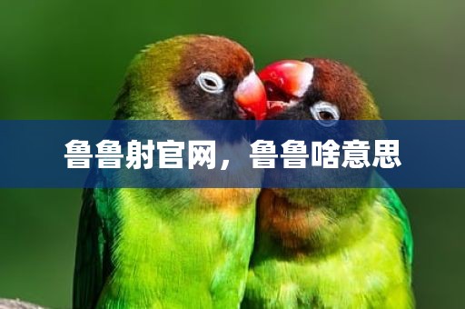 鲁鲁射官网，鲁鲁啥意思