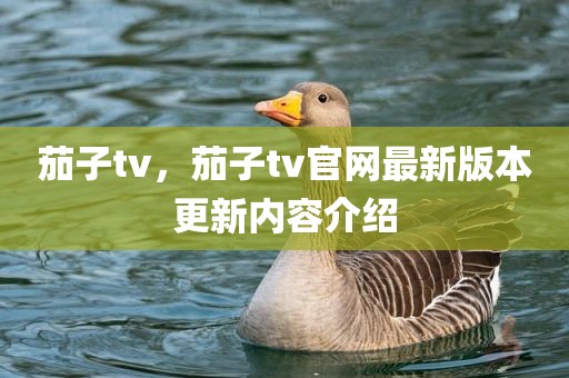 茄子tv，茄子tv官网最新版本更新内容介绍