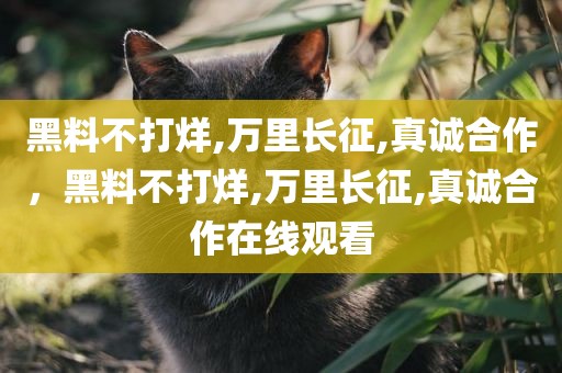 黑料不打烊,万里长征,真诚合作，黑料不打烊,万里长征,真诚合作在线观看