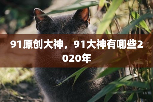91原创大神，91大神有哪些2020年