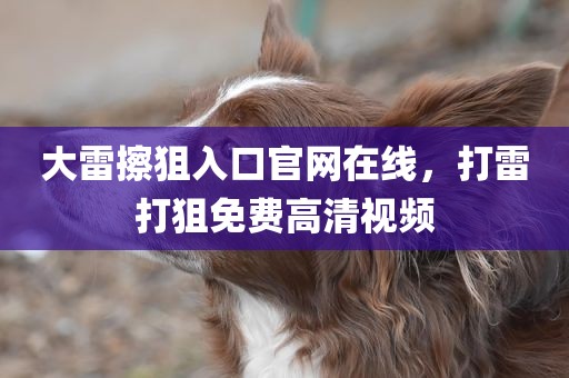 大雷擦狙入口官网在线，打雷打狙免费高清视频