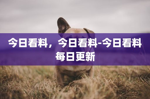 今日看料，今日看料-今日看料每日更新