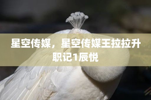 星空传媒，星空传媒王拉拉升职记1辰悦