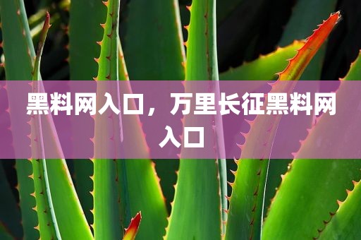 黑料网入口，万里长征黑料网入口
