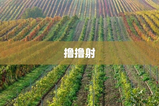撸撸射