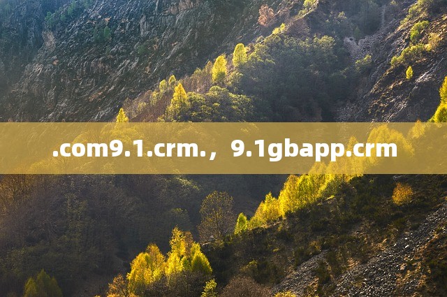 .com9.1.crm.，9.1gbapp.crm