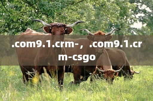 .com9.1.crm-，.com9.1.crm-csgo