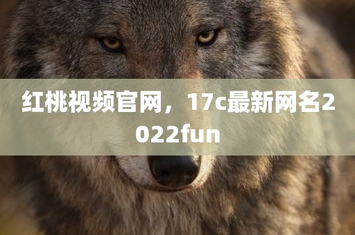 红桃视频官网，17c最新网名2022fun