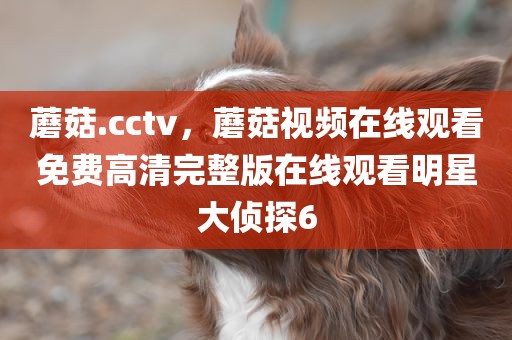 蘑菇.cctv，蘑菇视频在线观看免费高清完整版在线观看明星大侦探6
