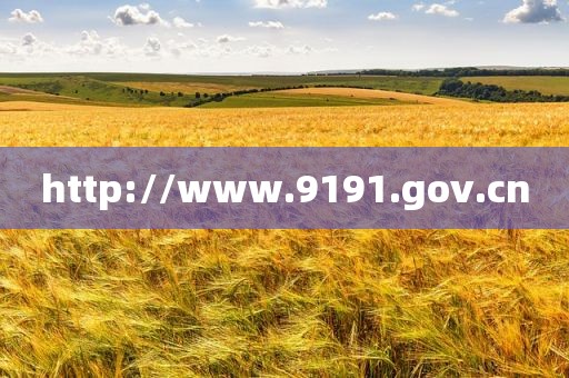 http://www.9191.gov.cn