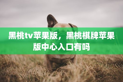 黑桃tv苹果版，黑桃棋牌苹果版中心入口有吗