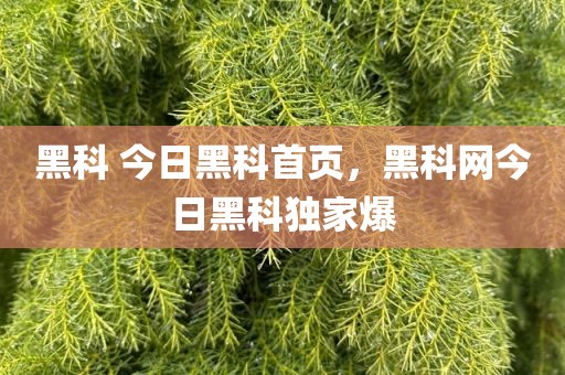 黑科 今日黑科首页，黑科网今日黑科独家爆
