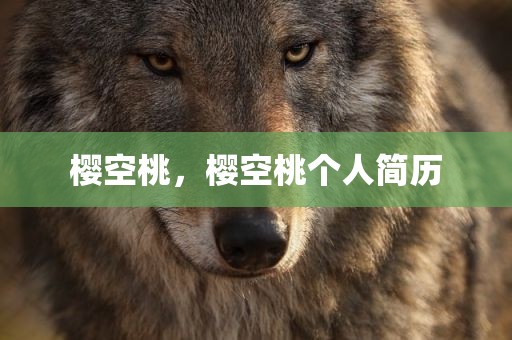 樱空桃，樱空桃个人简历