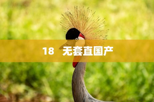 18   无套直国产