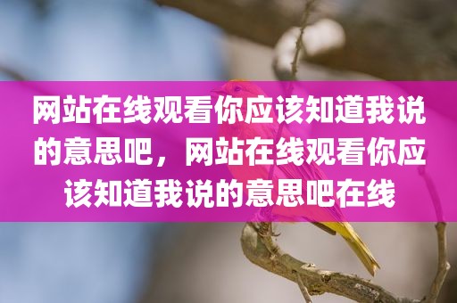 网站在线观看你应该知道我说的意思吧，网站在线观看你应该知道我说的意思吧在线