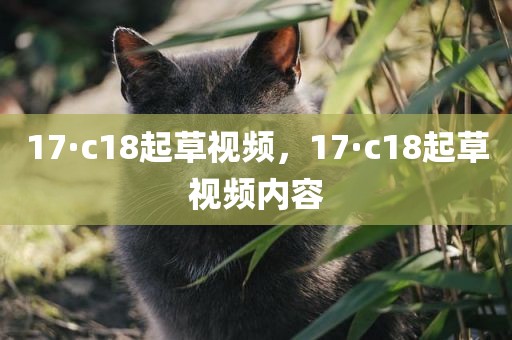 17·c18起草视频，17·c18起草视频内容