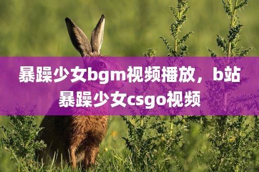 暴躁少女bgm视频播放，b站暴躁少女csgo视频
