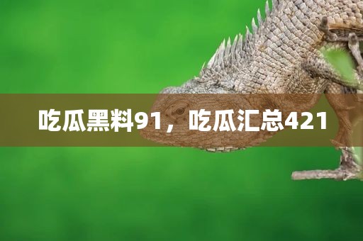 吃瓜黑料91，吃瓜汇总421