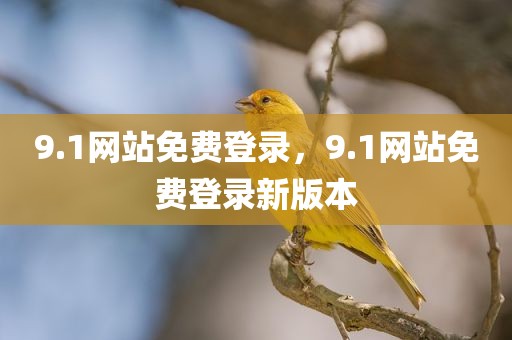 9.1网站免费登录，9.1网站免费登录新版本